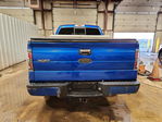Ford F-150 2010