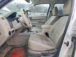 Ford Escape 2010