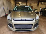 Ford Escape 2013