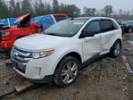 Ford Edge 2013