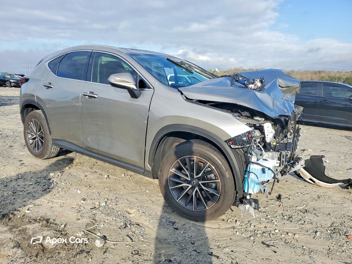 Lexus NX 2024