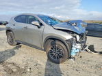 Lexus NX 2024