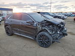 Cadillac XT4 2021