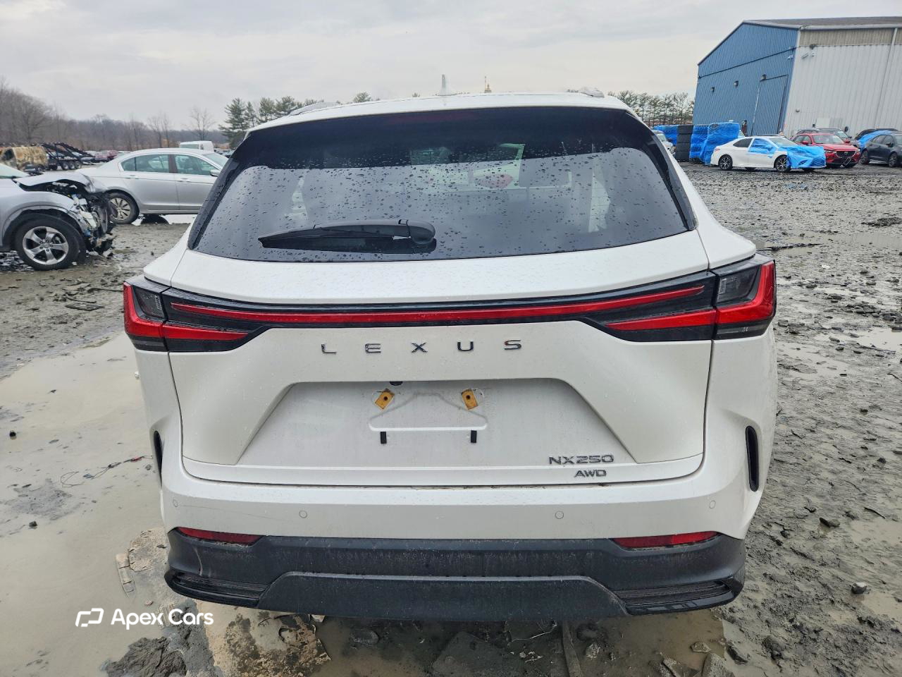Lexus NX 2025