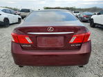 Lexus ES 2007