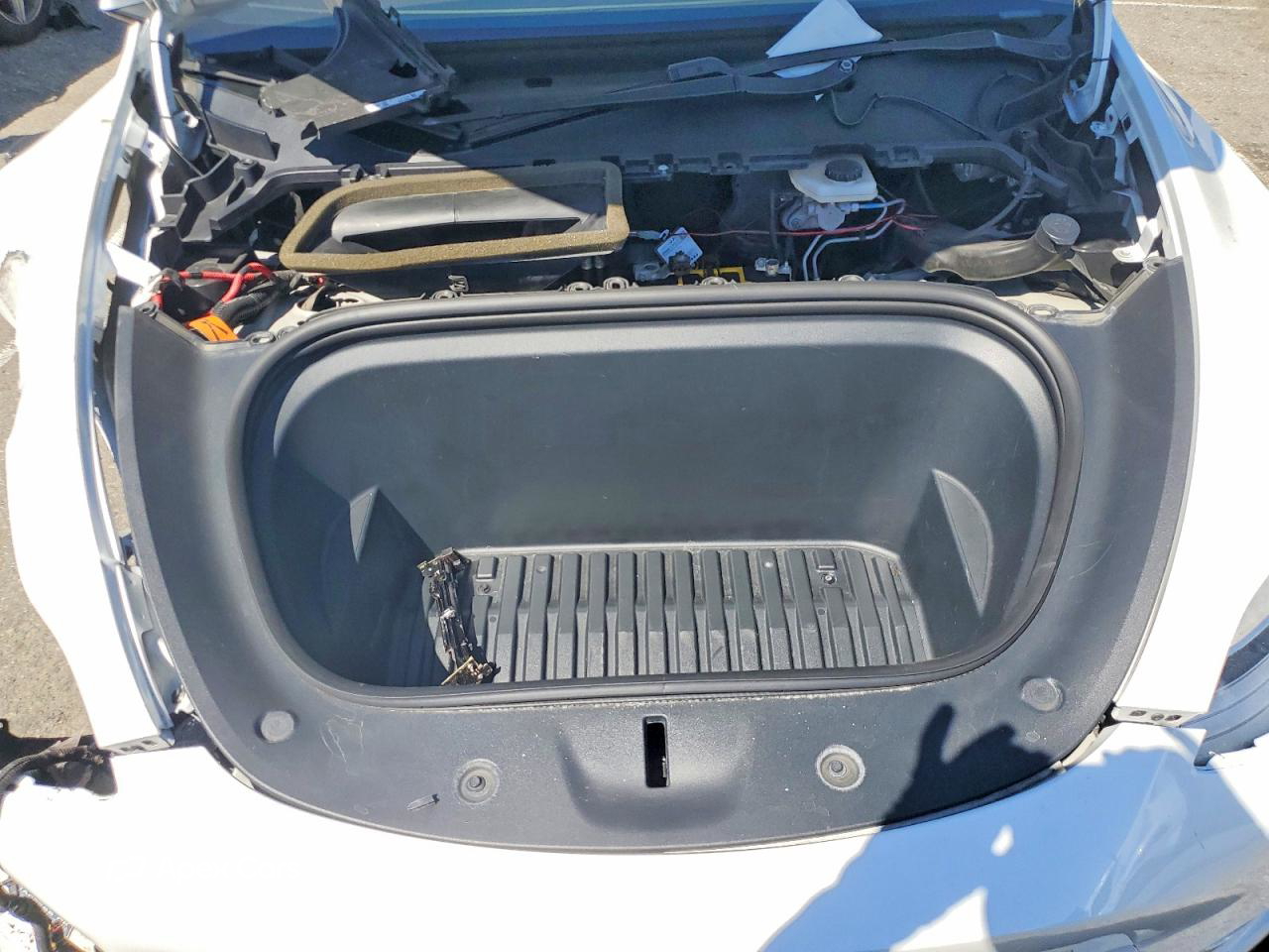 Tesla Model Y 2020