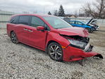 Honda Odyssey 2024