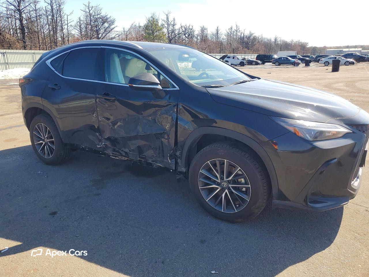 Lexus NX 2026
