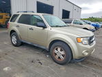 Ford Escape 2012