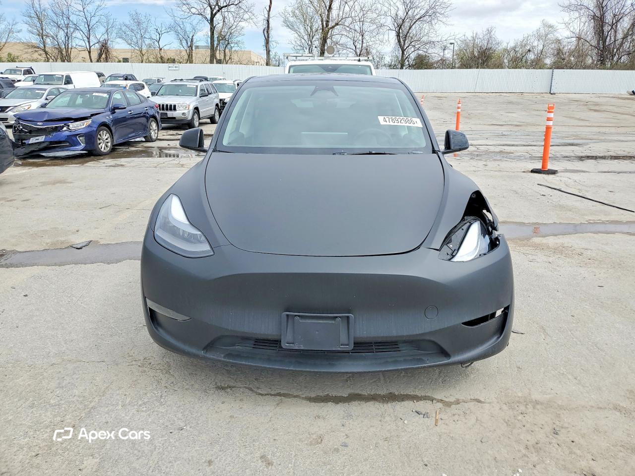 Tesla Model Y 2024