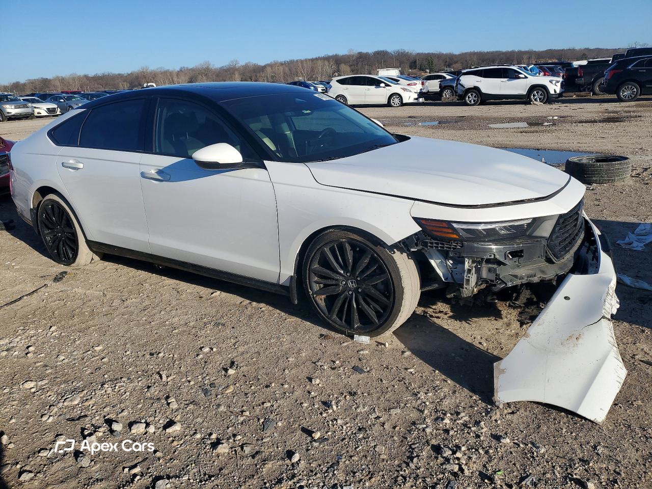 Honda Accord 2025
