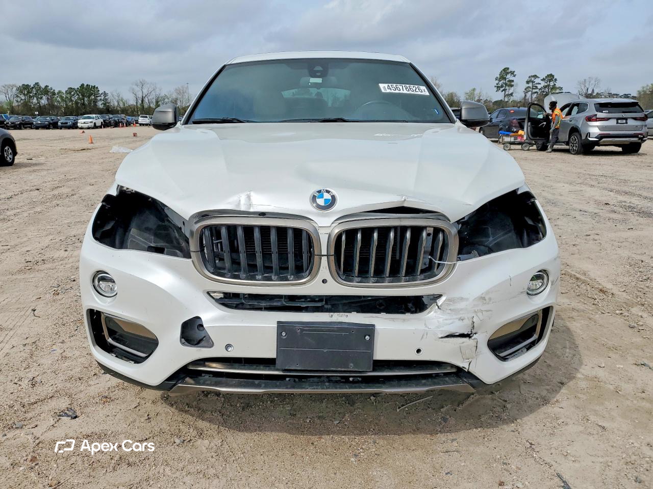 BMW X6 2019