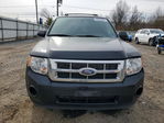 Ford Escape 2012