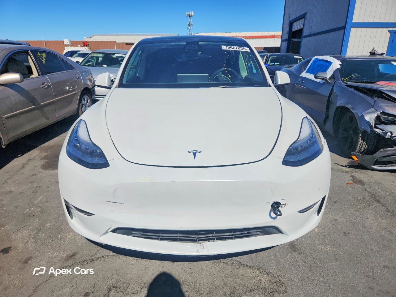 Tesla Model Y 2021