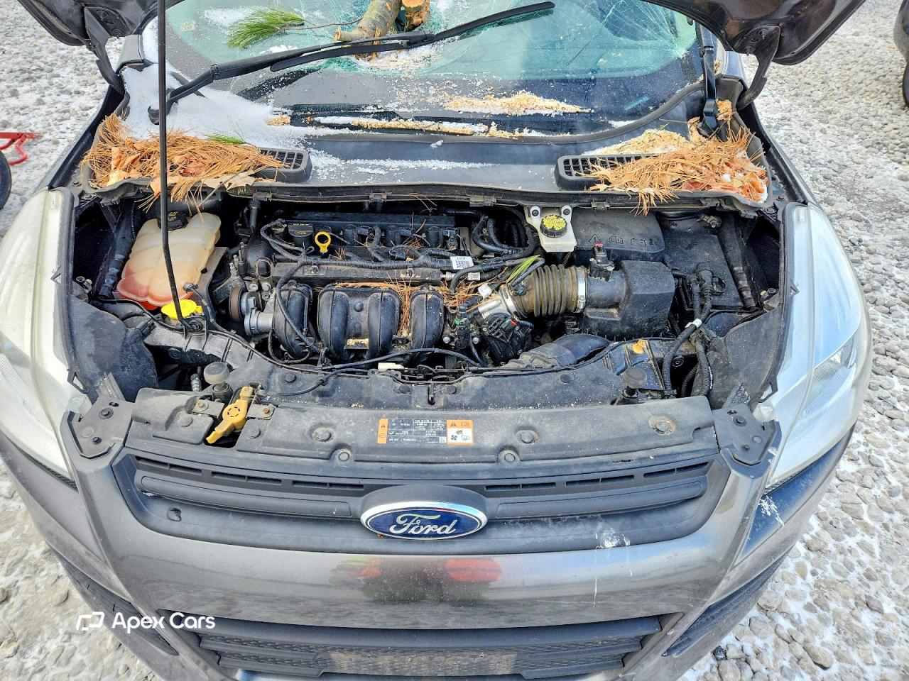 Ford Escape 2016