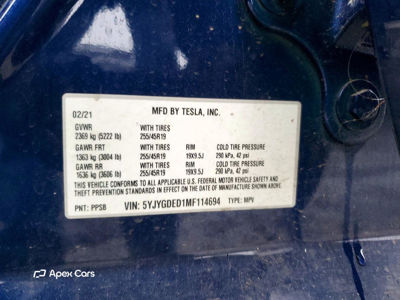 Tesla Model Y 2021