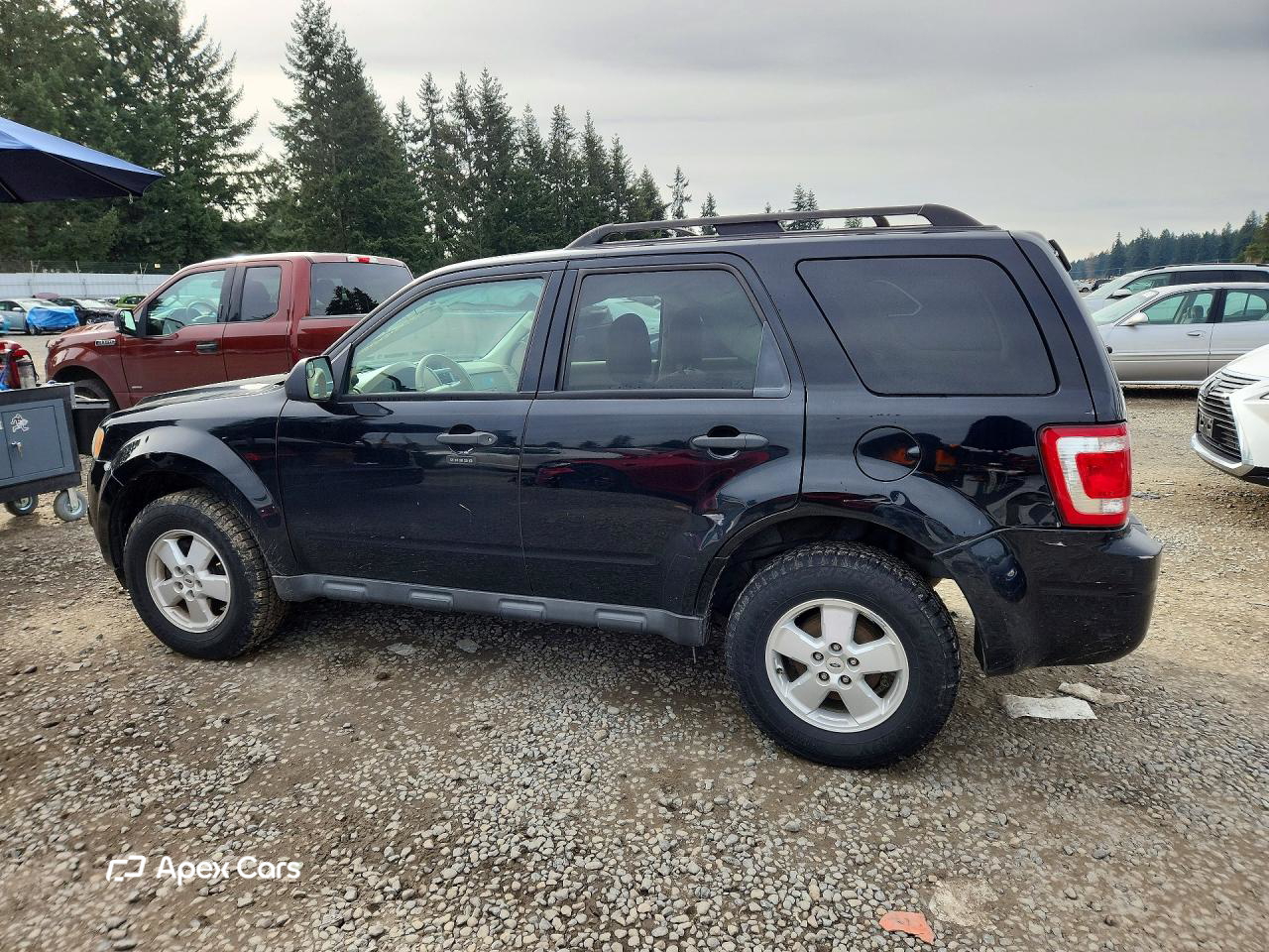 Ford Escape 2010