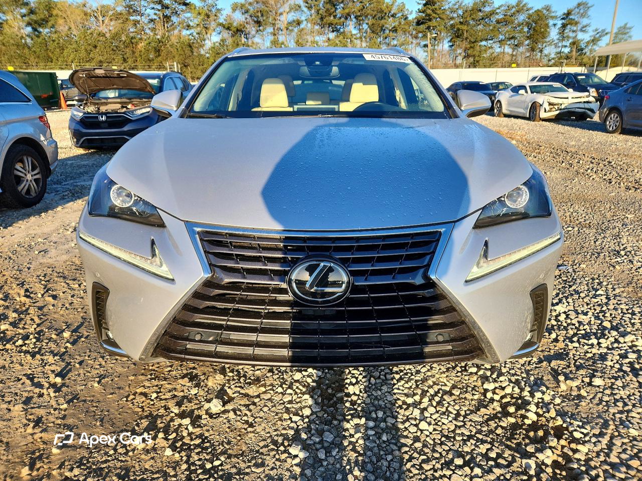 Lexus NX 2019