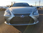Lexus ES 2021