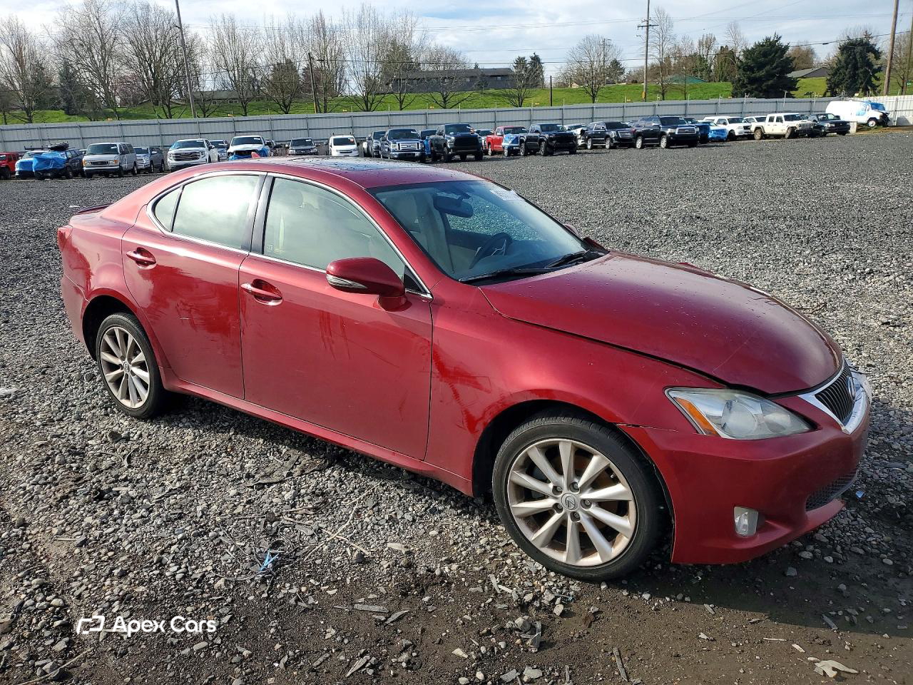 Lexus IS 2009