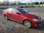 Lexus IS 2009