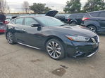 Nissan Maxima 2023