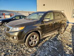 Kia Sorento 2013