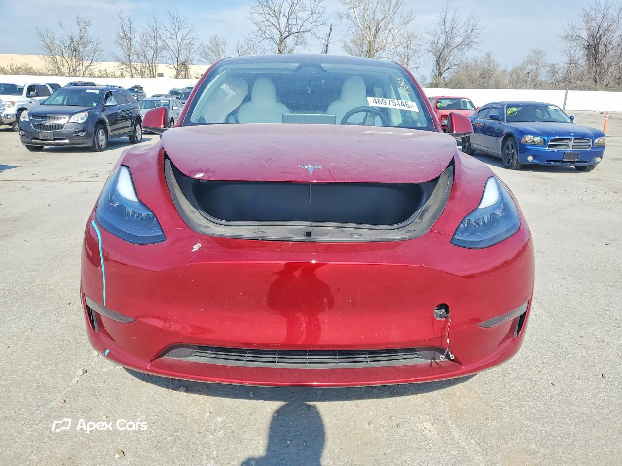 Tesla Model Y 2024