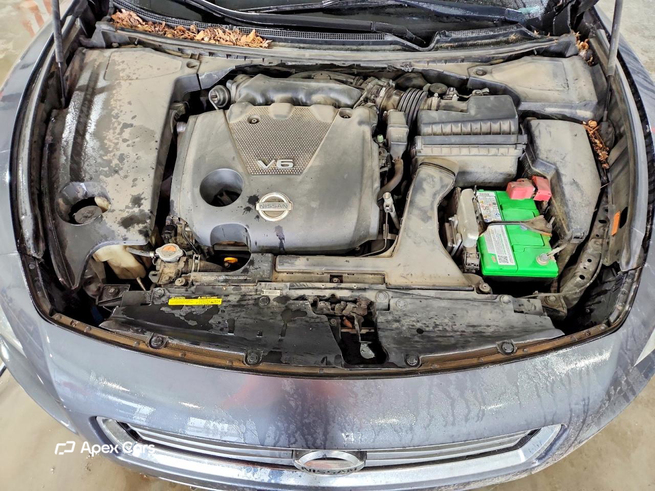 Nissan Maxima 2012