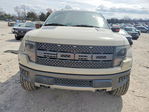 Ford F-150 2013