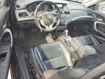 Honda Accord 2011