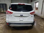Ford Escape 2016