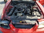 Ford Mustang 2004