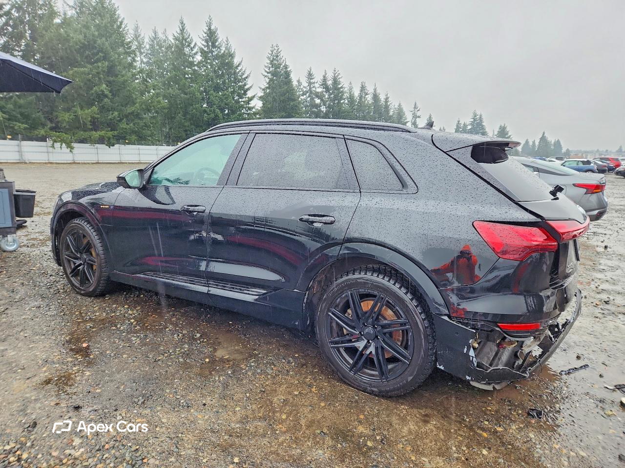 Audi e-tron 2021