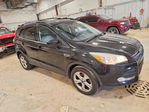 Ford Escape 2013