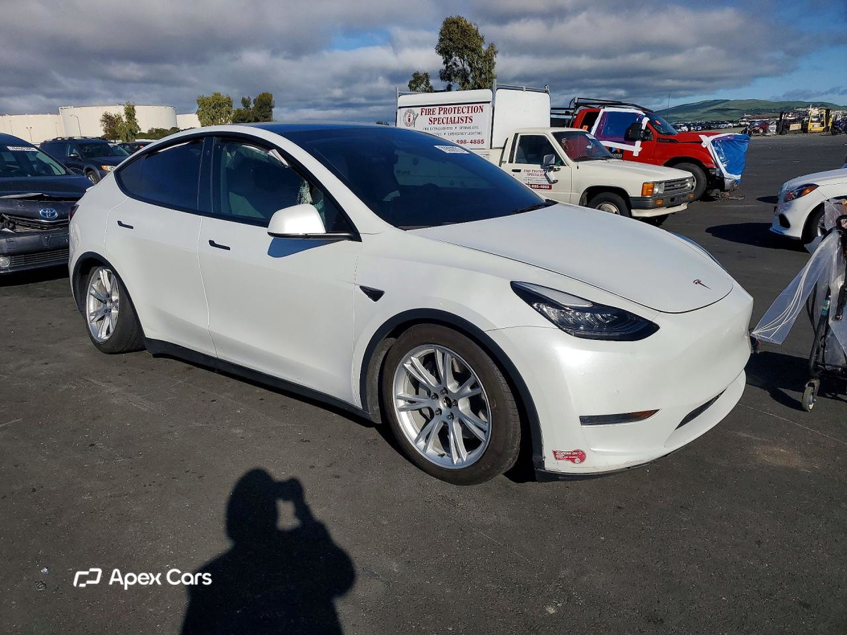 Tesla Model Y 2021
