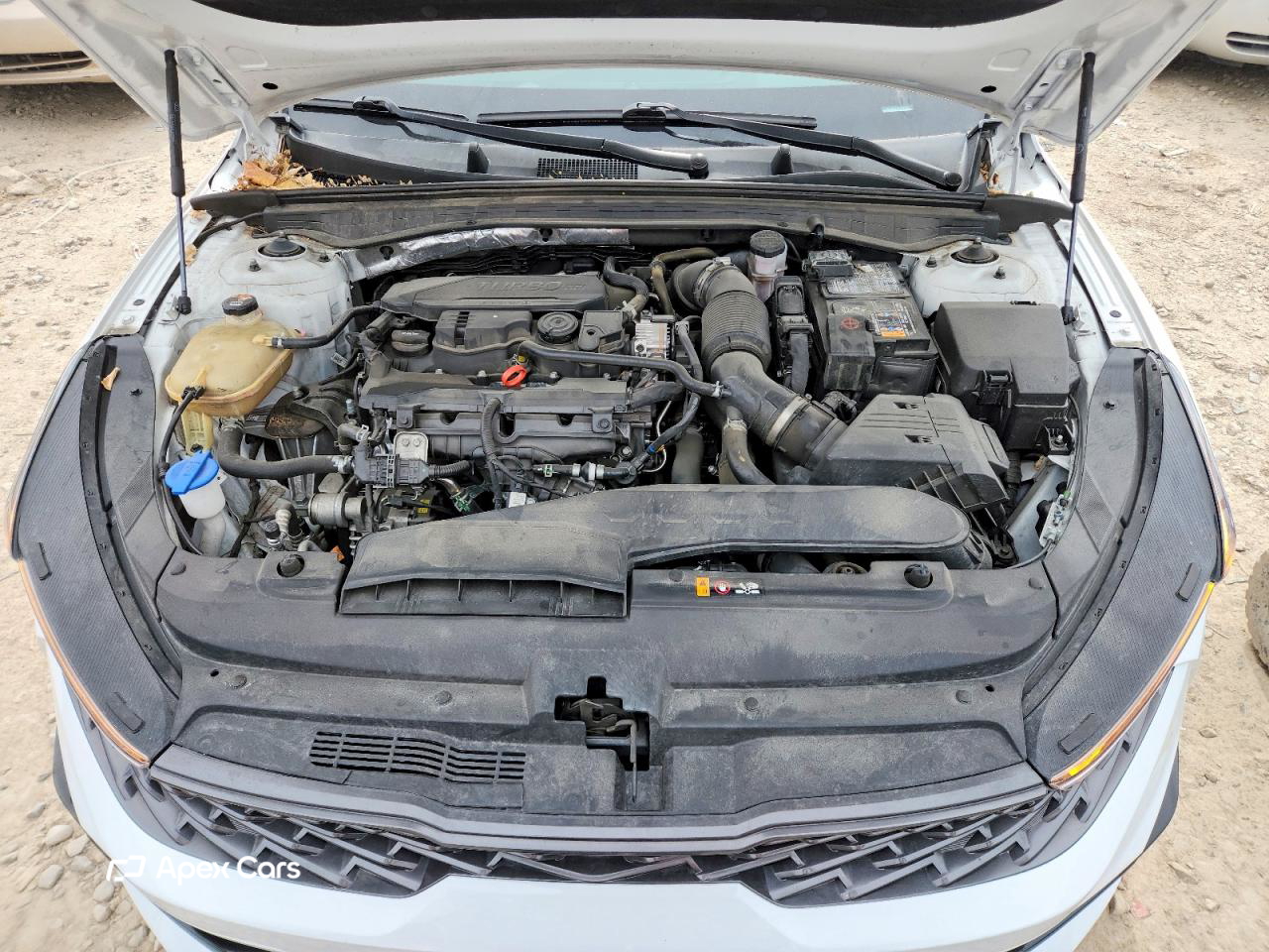 Kia K5 2024