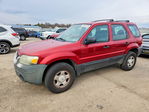 Ford Escape 2005