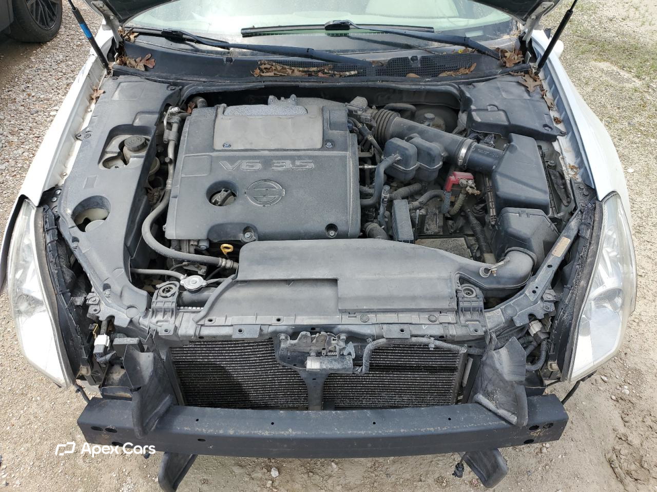 Nissan Maxima 2008