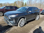 Toyota RAV 4 2024