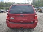 Ford Escape 2011