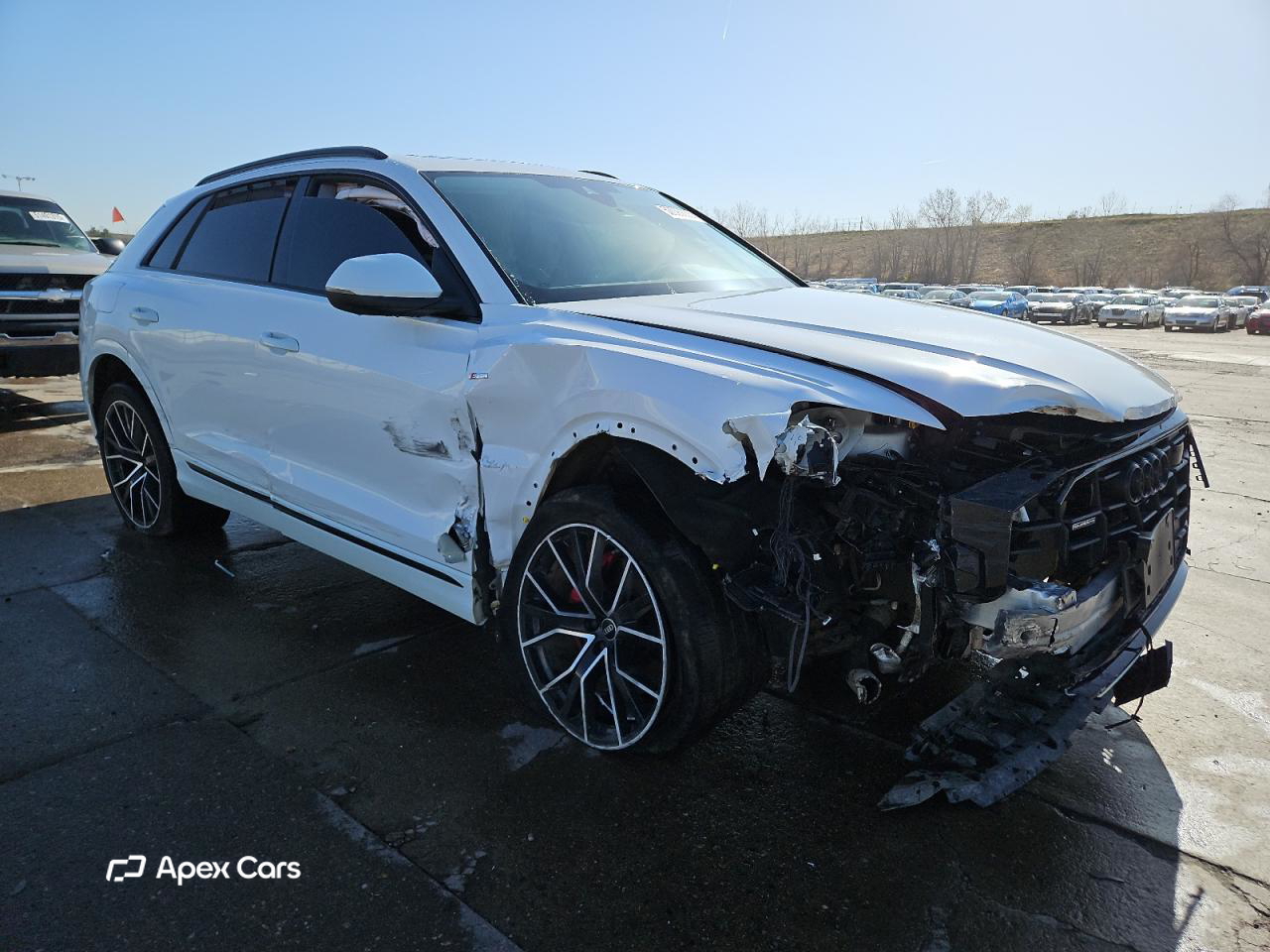 Audi Q8 2023