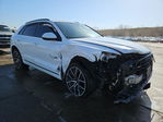 Audi Q8 2023