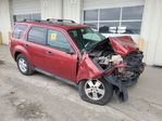 Ford Escape 2012
