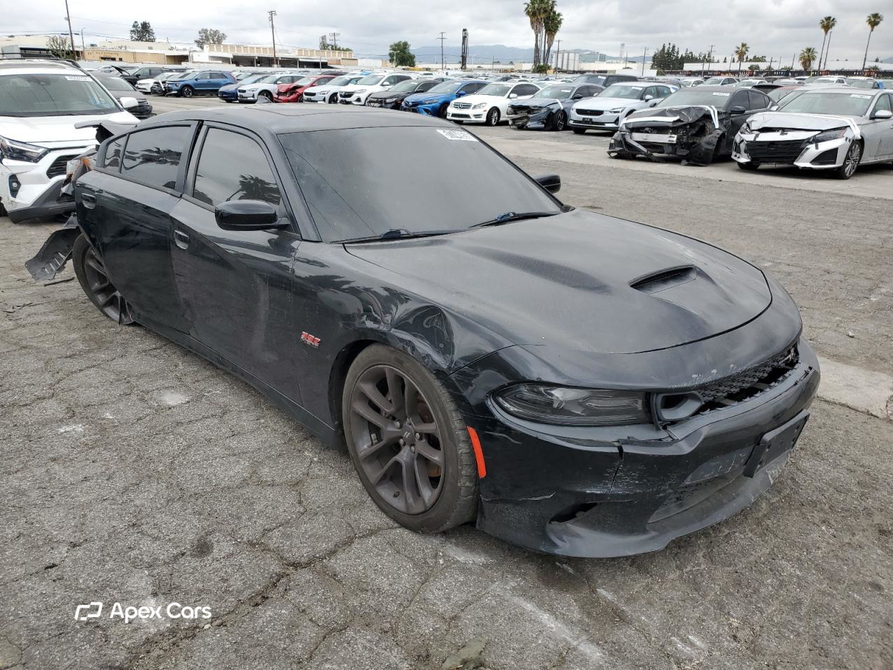 Dodge Charger 2021