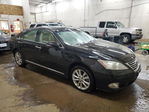 Lexus ES 2010