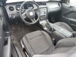 Ford Mustang 2012