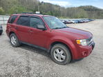 Ford Escape 2011