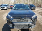 Toyota RAV 4 2024