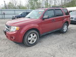 Ford Escape 2011